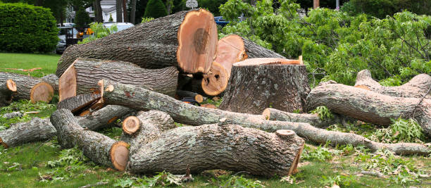 Best Arborist Consultation Services  in Harrah, OK